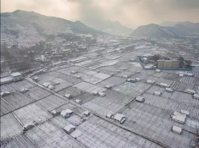 2018年博山入冬第一场雪，猕猴桃基地风光 印象-雪中源泉
